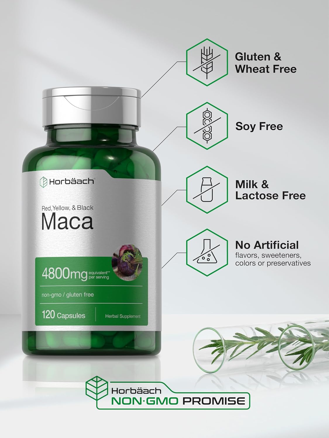 Horbäach Maca Root Capsules for Men and Women | 120 Pills | High Potency Extract | Non-GMO and Gluten Free Formula - Image 5