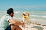 Dog-Friendly Labor Day Activities & Travel Ideas – Play Pet Brands